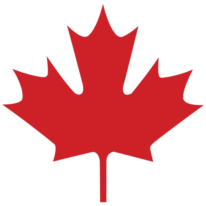 a red maple leaf on a black background